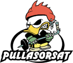 Turun Pullasorsat